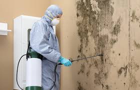 West Cape May, NJ Mold Removal Company